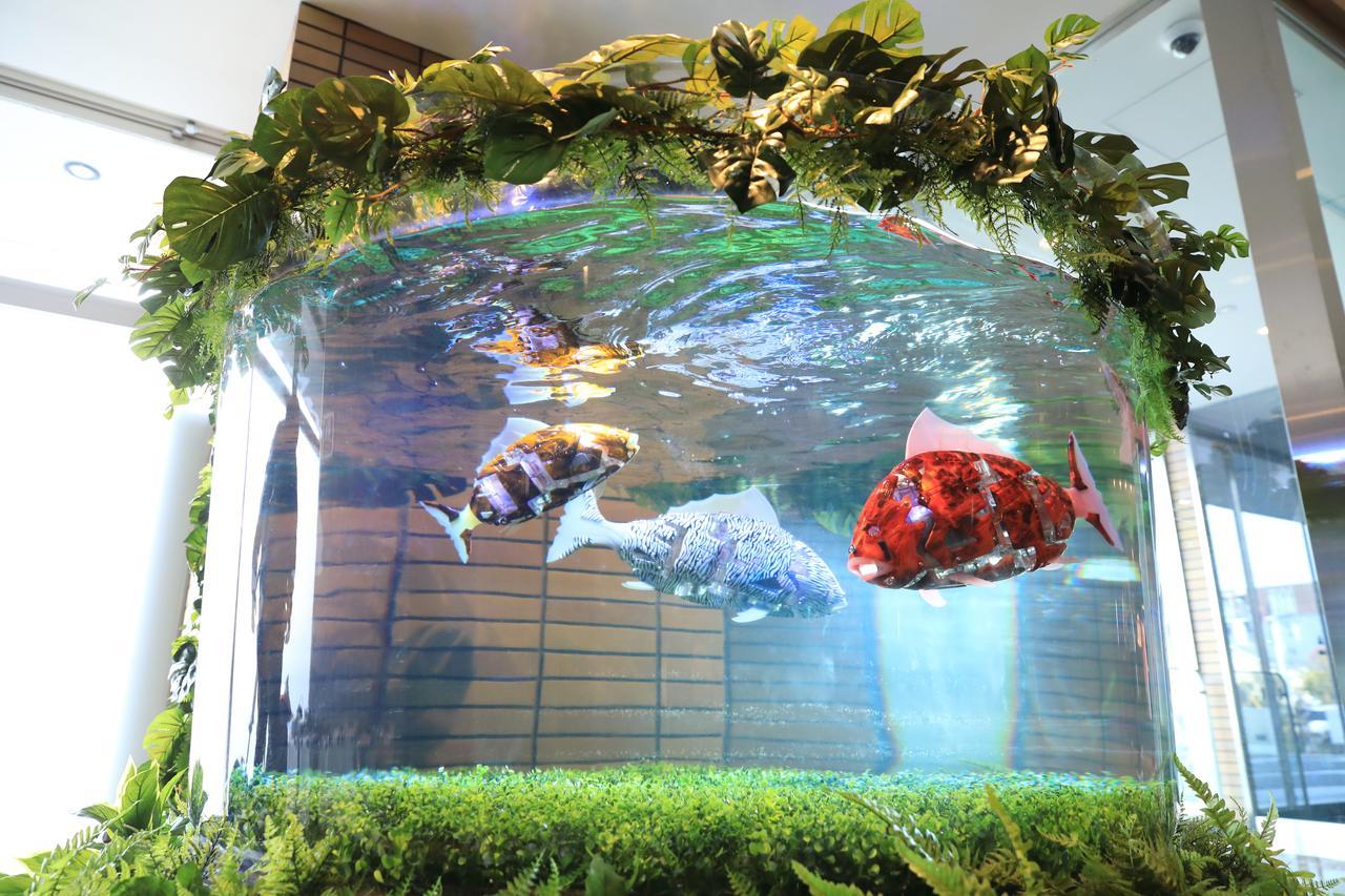 Henn Na Hotel Maihama Tokyo Bay Urayasu Екстер'єр фото