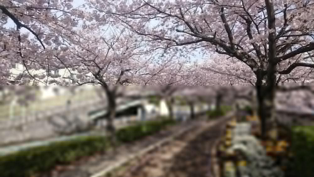 Henn Na Hotel Maihama Tokyo Bay Urayasu Екстер'єр фото